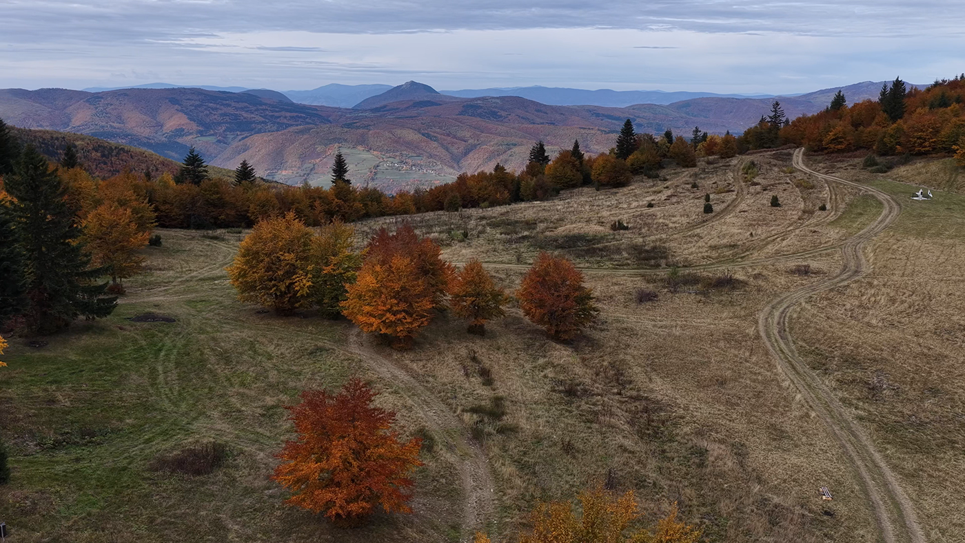 kolorit kemo02_1.1.2.png