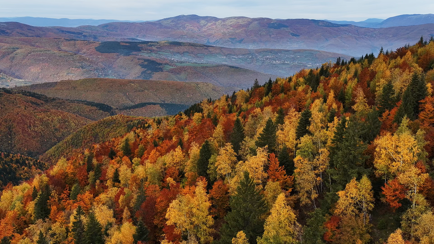 kolorit kemo04_1.1.4.png